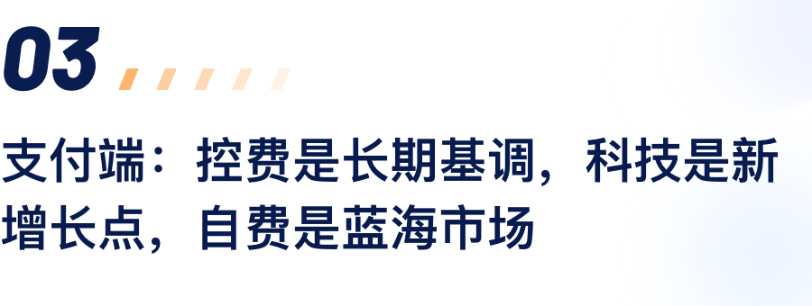 支付端：控费是恒久基调，，，，，科技是新增添点，，，，，自费是蓝海市场.png