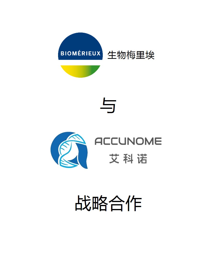 营业介绍 - 纽约国际资源-官网
